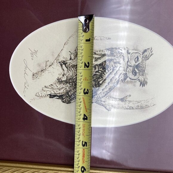 Jack Bolin Great Horned Owl Print Framed Wall Art Limited Edition numbered 39/50 - Picture 15 of 15